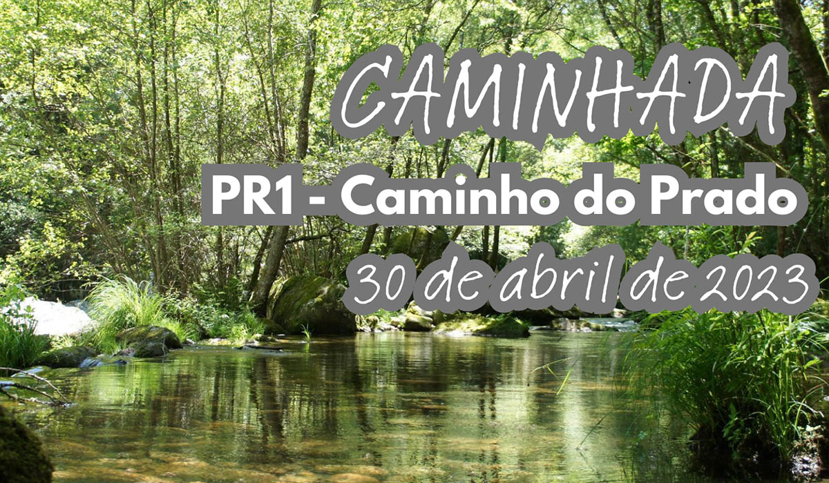 Caminhada Correr Contra os Maus Tratos Na Infância – Inscreva-se!