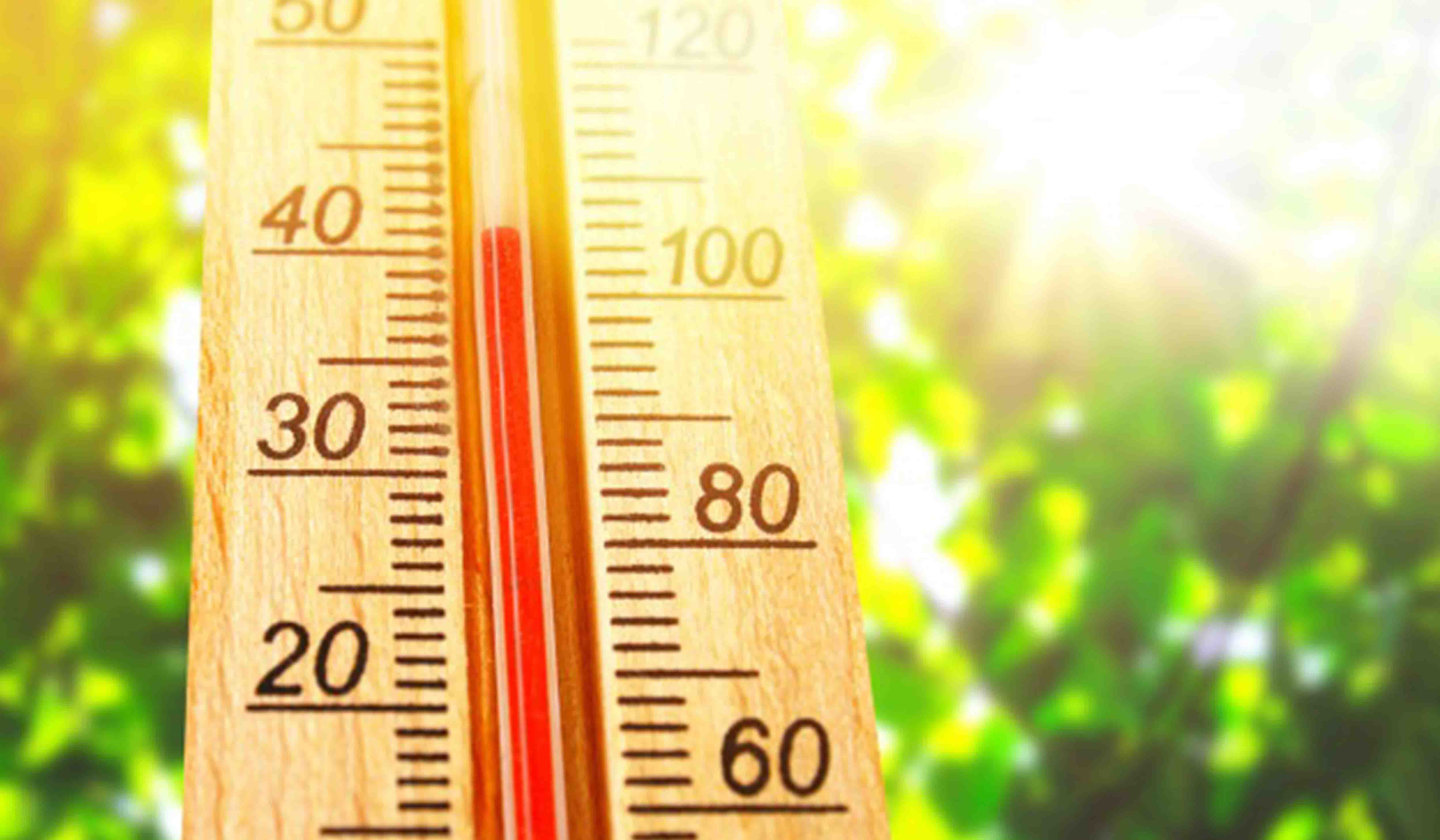 Distrito de Viseu em alerta laranja devido ao calor