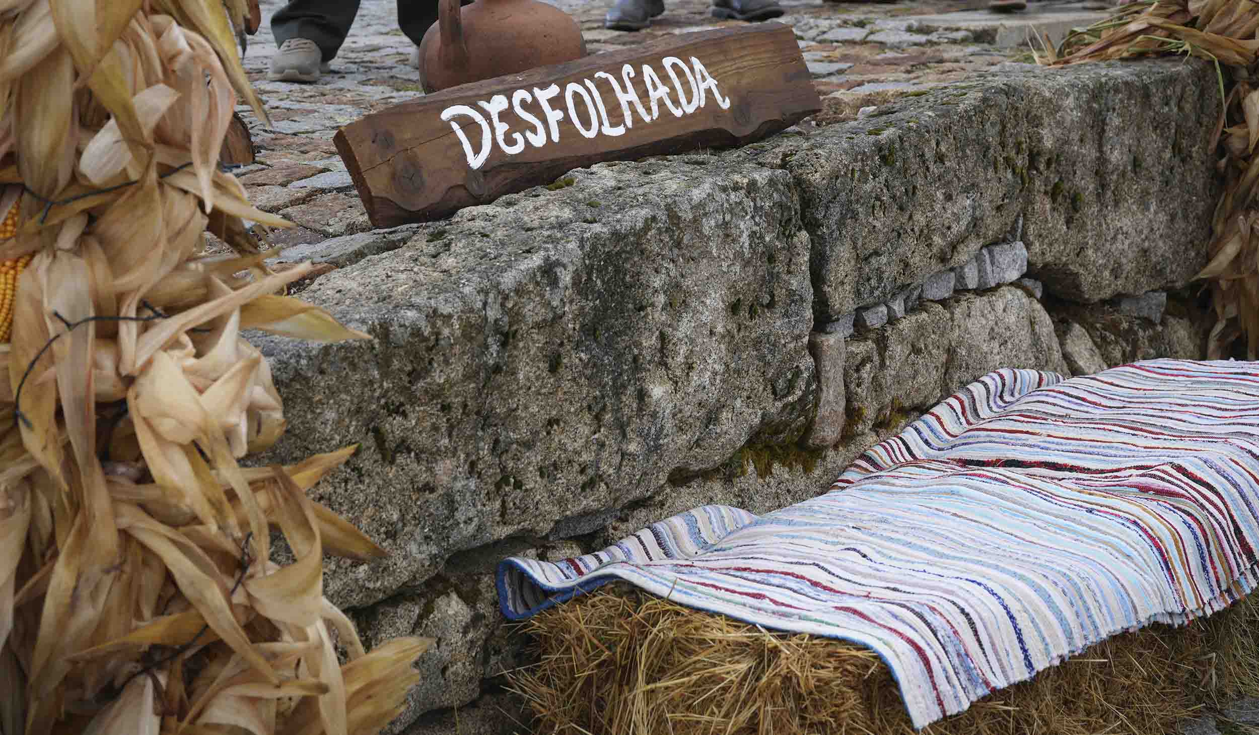 Cultura, convívio e tradição marcaram a Desfolhada de Bustelo da Lage