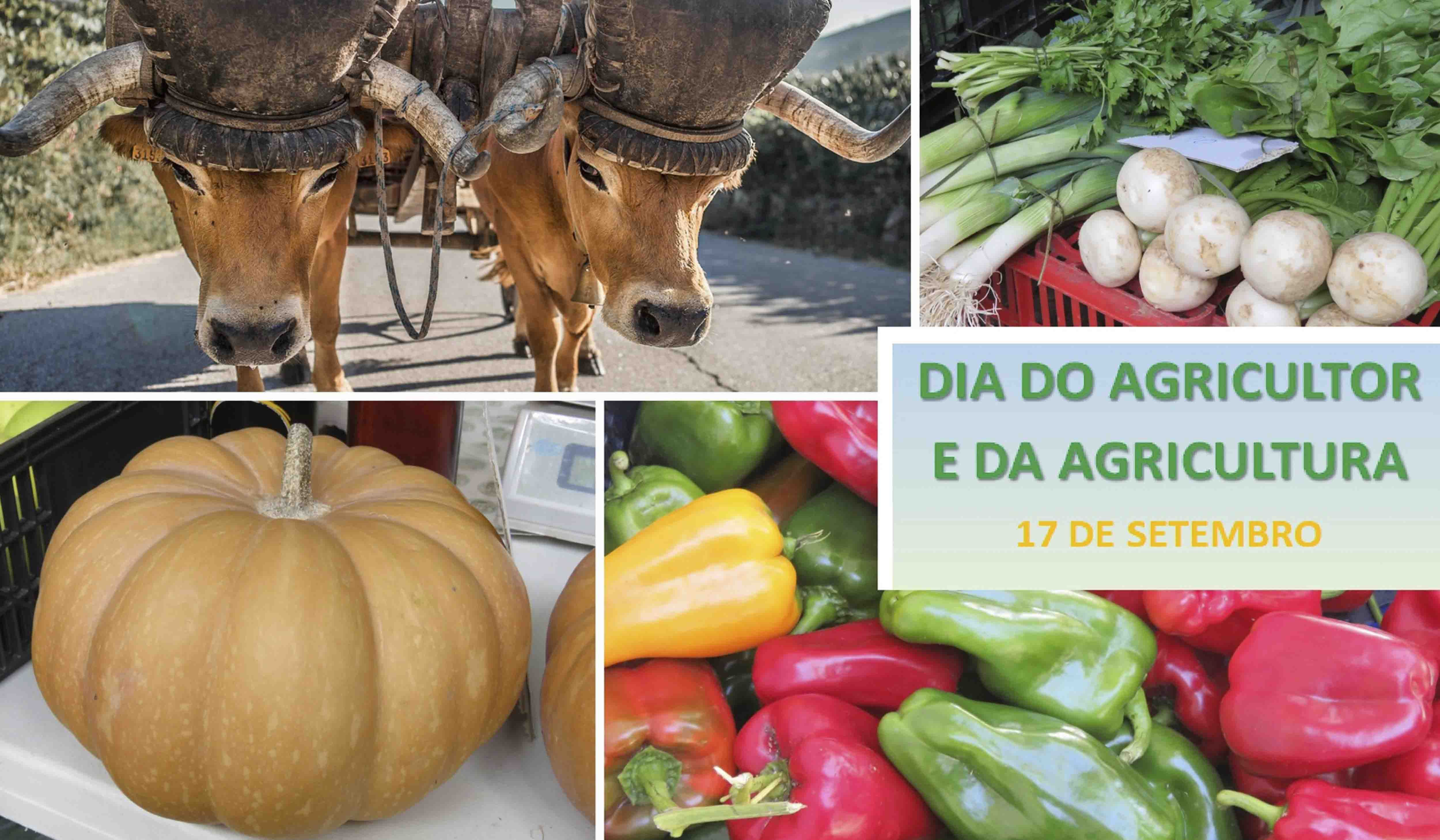 Aviso - Dia do Agricultor e da agricultura